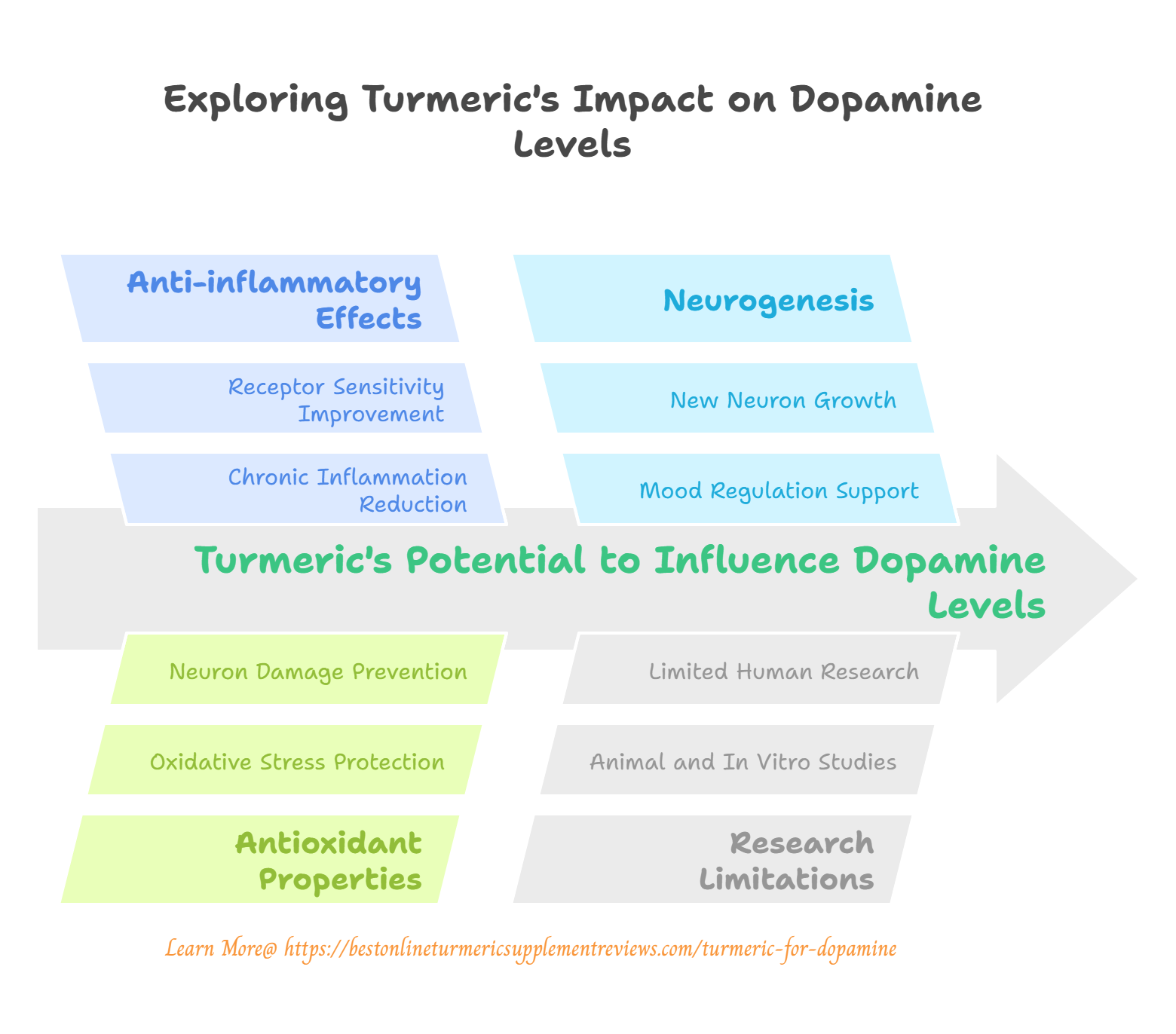 infographic on turmeric’s dopamine benefits for midlife
