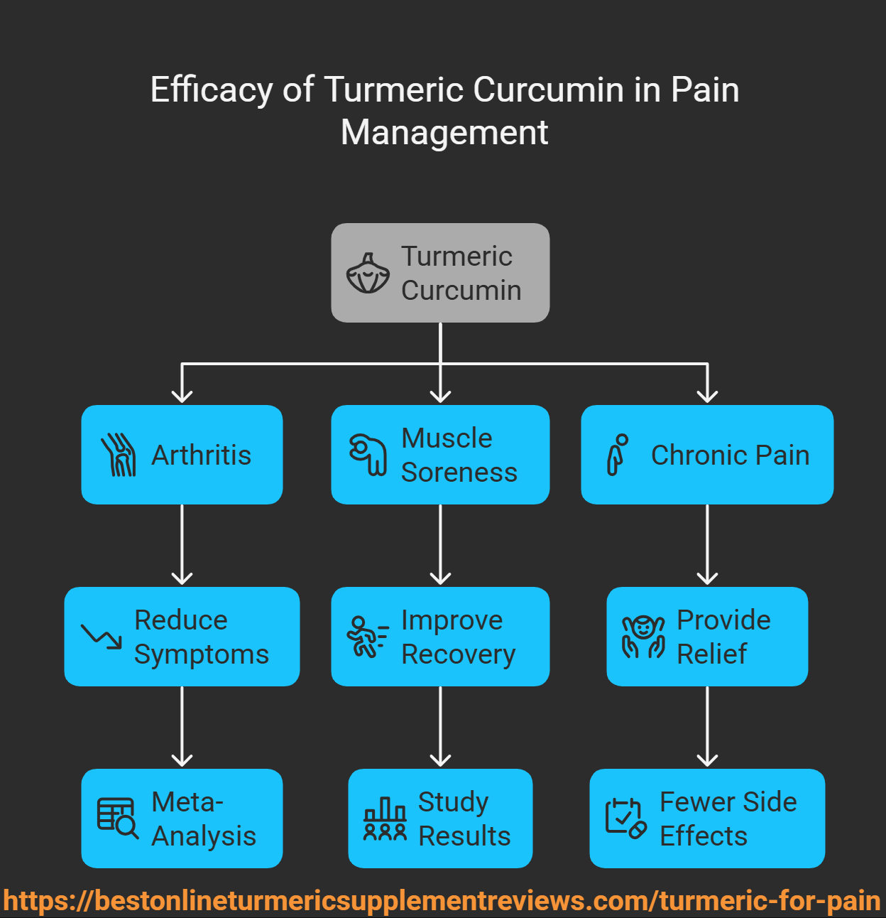 showing the researched information for turmeric for pain