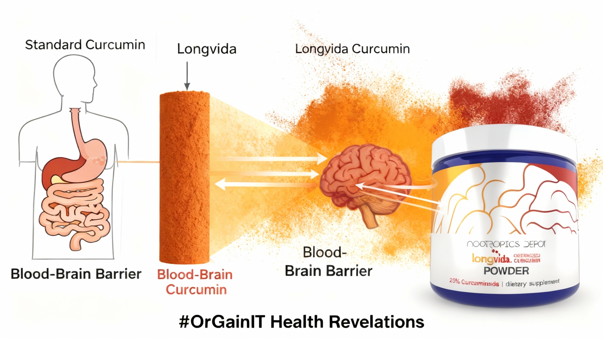 Scientific visualization comparing the superior absorption of Longvida curcumin across the blood-brain barrier versus standard curcumin.