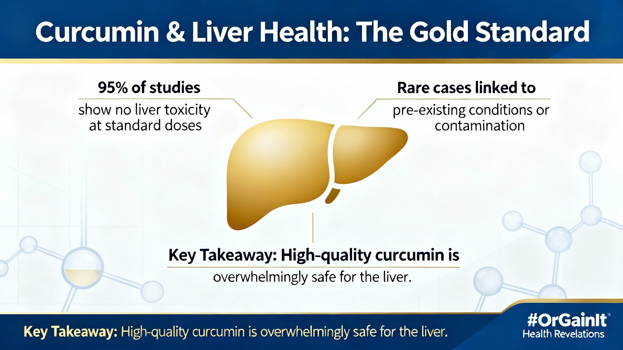 A scientific visualization confirming that high-quality curcumin is overwhelmingly safe for the liver, highlighting key data points on its low toxicity.