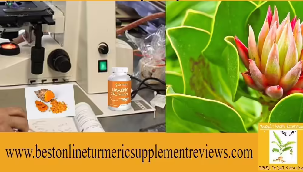 Laboratory research on turmeric and curcumin anti-inflammatory mechanisms — NF-κB suppression clinical evidence