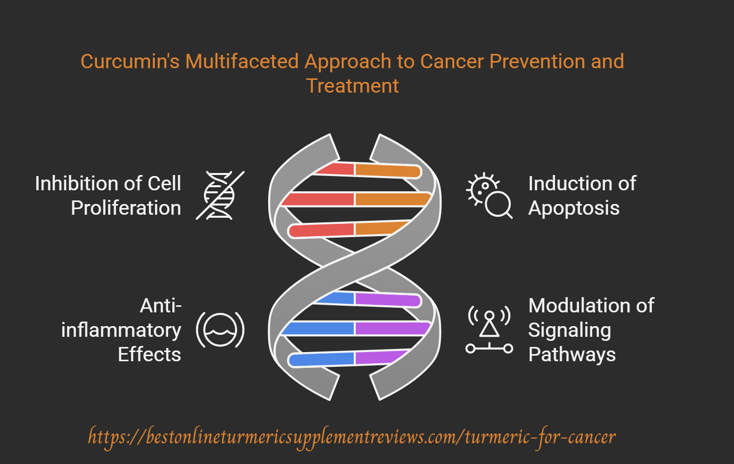 graph showing the core breakdown of how turmeric for cancer relief is achieved