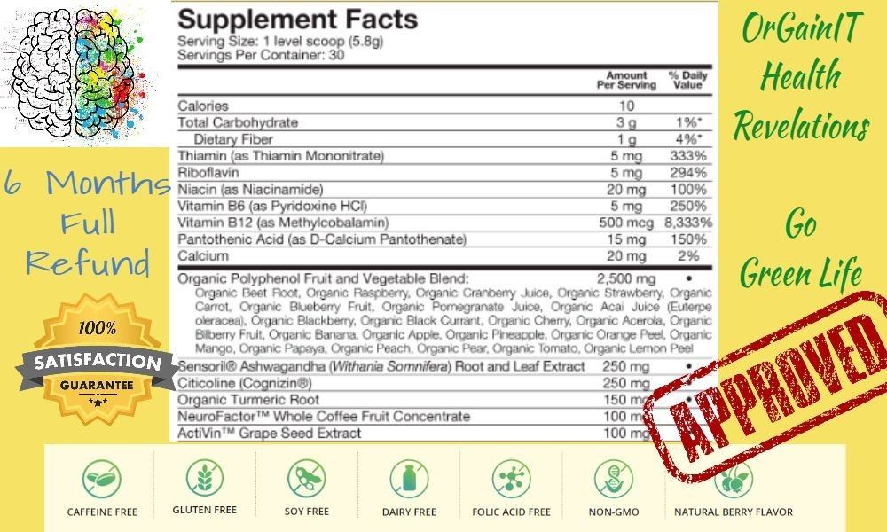 Conclusive neuroactive6 review of the supplemental facts