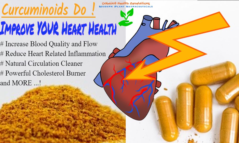 How Turmeric For Heart Health Works
