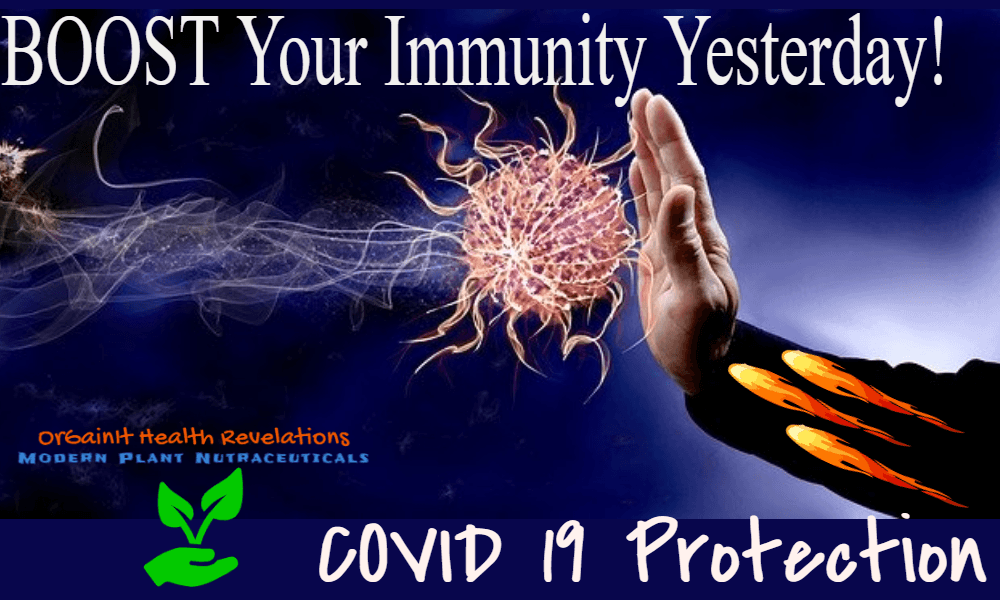 prevent viral attack with turmeric for immune system benefits