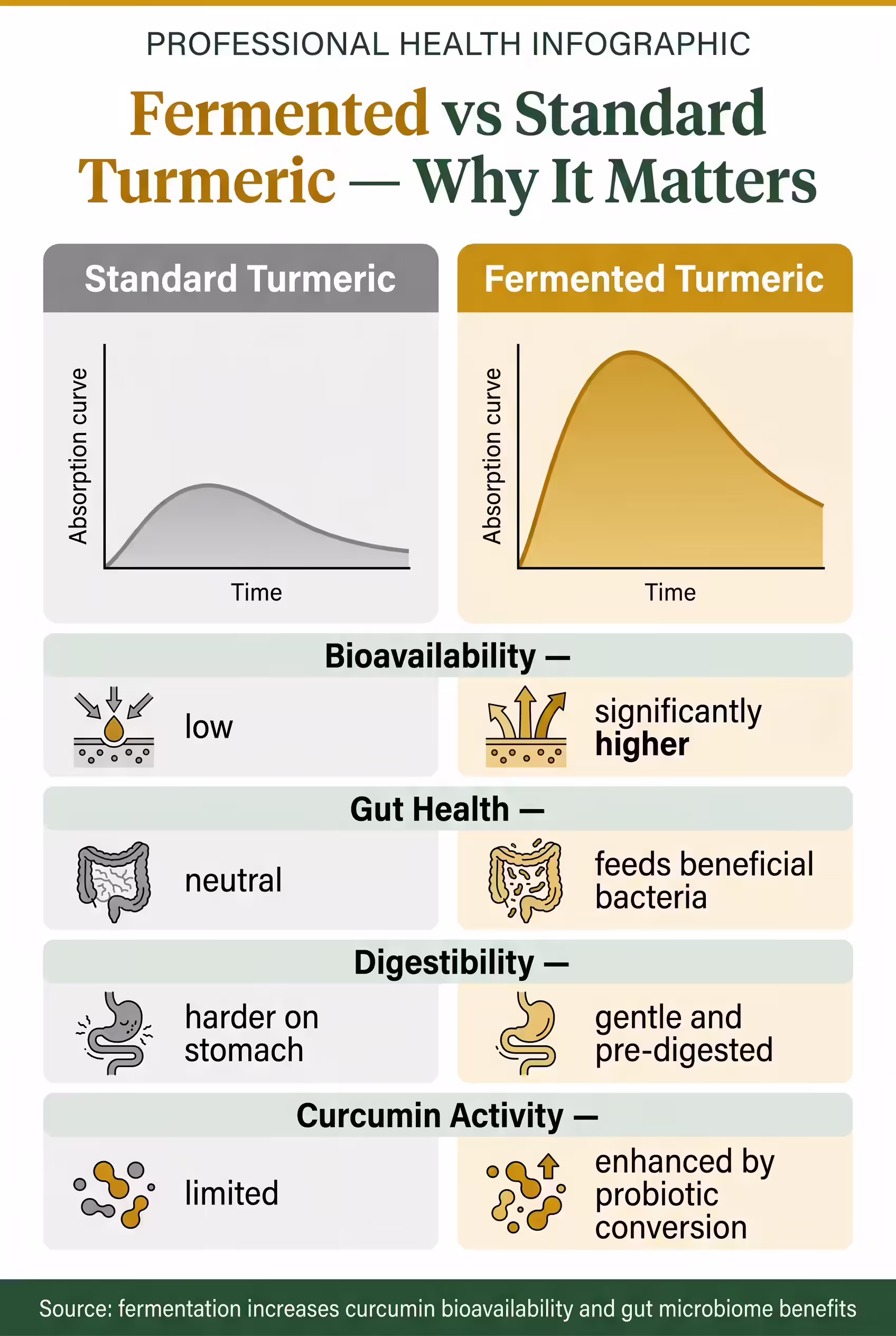 Fermented turmeric vs regular turmeric — bioavailability and benefits infographic showing how lacto-fermentation increases curcumin absorption, gut health, and anti-inflammatory potency