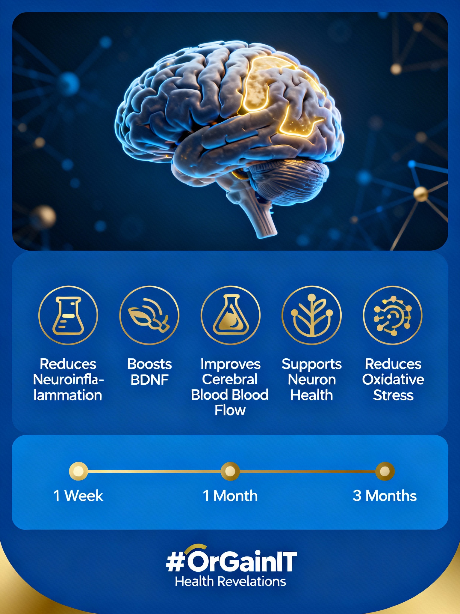 Infographic explaining how Longvida Curcumin boosts brain function by reducing neuroinflammation, improving blood flow, and supporting neuron health.