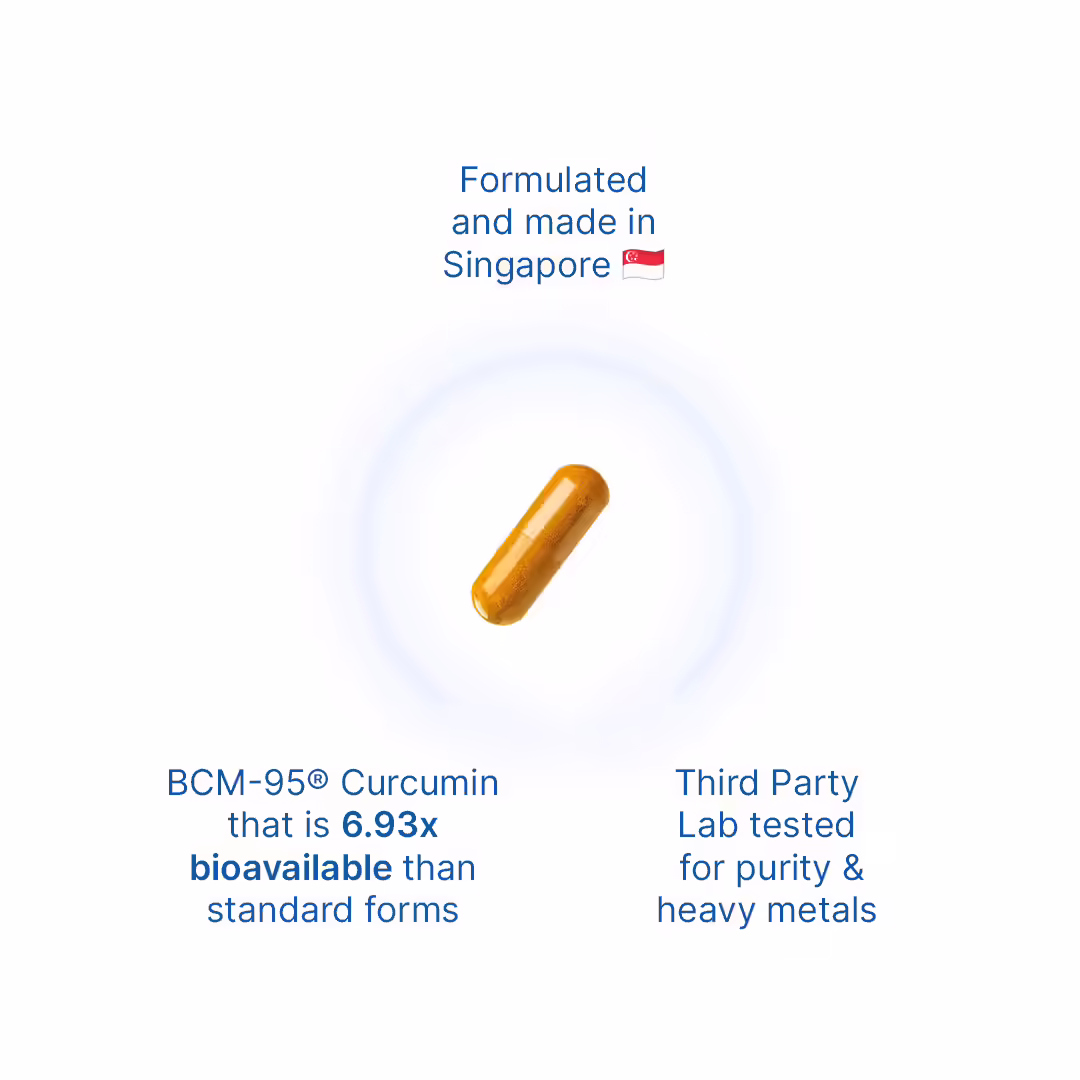 Xandro Lab BCM-95 quality credentials — third-party tested, Singapore GMP, zero fillers