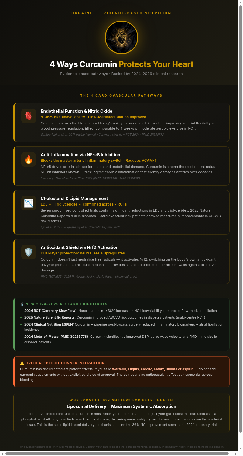 4 ways curcumin protects your heart - infographic